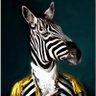 Mr. Zebra profil fotoğrafı