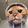 gil's profile picture