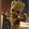 BIBO's profile picture