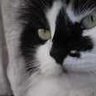 比呂 profil fotoğrafı