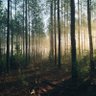 MisterSlipp(ery) profil fotoğrafı