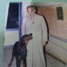 Abdelmohsen's profile picture