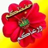 علي علي profil fotoğrafı