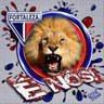 Profilbild von Marcelo Matos