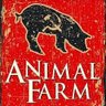 Фото профиля social animal