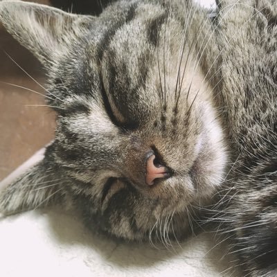 tksr0000's profile picture