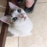 laver galarga profil fotoğrafı
