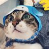 Mei's profile picture