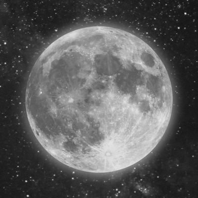 xiamoonlight's profile picture