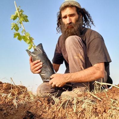 amishav_'s profile picture