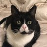 tiaMia 티아 profil fotoğrafı