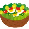 さらだ🥗 的头像