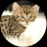 Profilbild von Anne Jackson