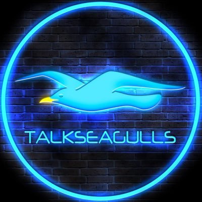 Talk Seagulls's profile picture