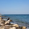Gertakmerah profil fotoğrafı