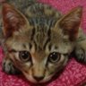とく's profile picture