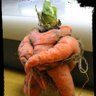 Carrot King 👑 profil fotoğrafı