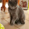 Claude Jacques profil fotoğrafı