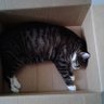 Anamarieus111 profil fotoğrafı