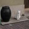 屋根裏のあいつ's profile picture