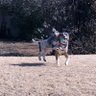 Фото профиля BeBop