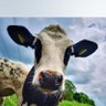 Profilbild von Turpsbreath