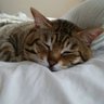 hugまま profil fotoğrafı