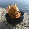 園山 ルベン's profile picture