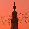 محمد عبدالله صالح 的头像