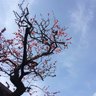 まいたね profil fotoğrafı