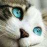 Фото профиля しんちゃん