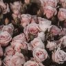 Фото профиля Rousse Rousse