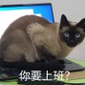 Wkoon Lee 的头像