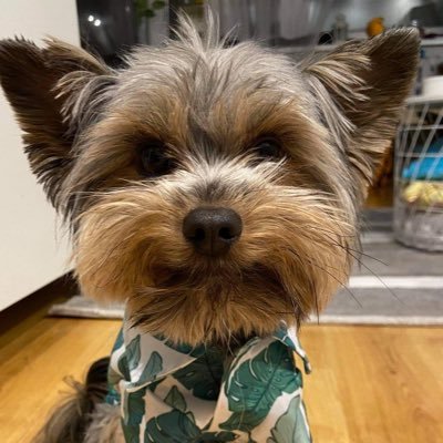 mspysinski's profile picture