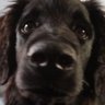 D's profile picture