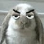 Snarky Rabbit 的头像