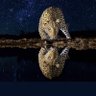İlyas profil fotoğrafı
