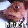 Profilbild von The Sleeve