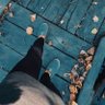 F A N A 🖤 profil fotoğrafı
