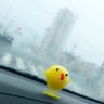 Lu's profile picture