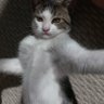 Defined's profile picture