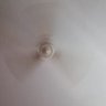 Bala's profile picture