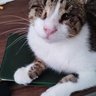 Profilbild von Anii