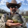 Don Reed's profile picture