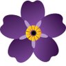 peruz özcengiz's profile picture