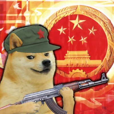 DogeXiaoping's profile picture