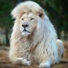 ضرغام profil fotoğrafı