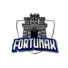 Anthony Fortunaso's profile picture