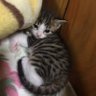 Profilbild von みつくに様