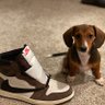 Retro 1's profile picture